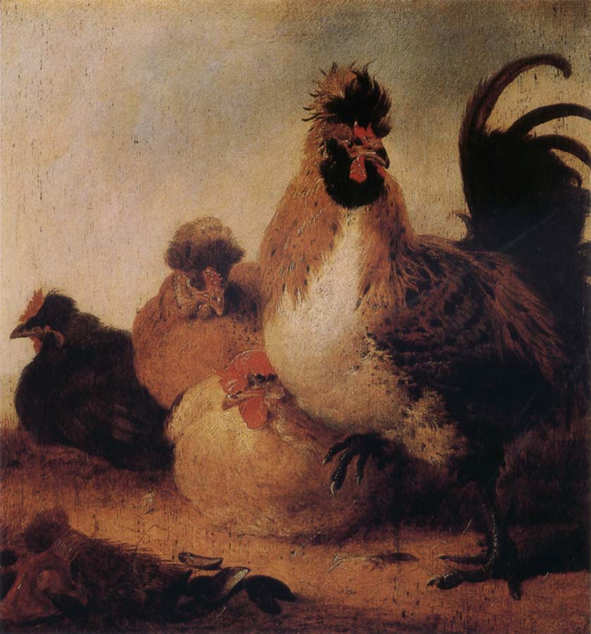 Rooster and Hens